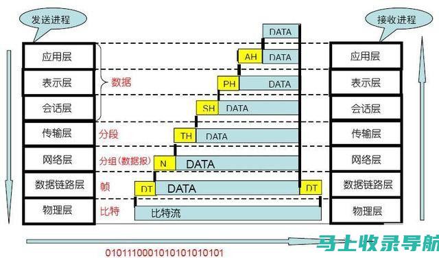 零基础也能做好SEO：实用入门教程解析